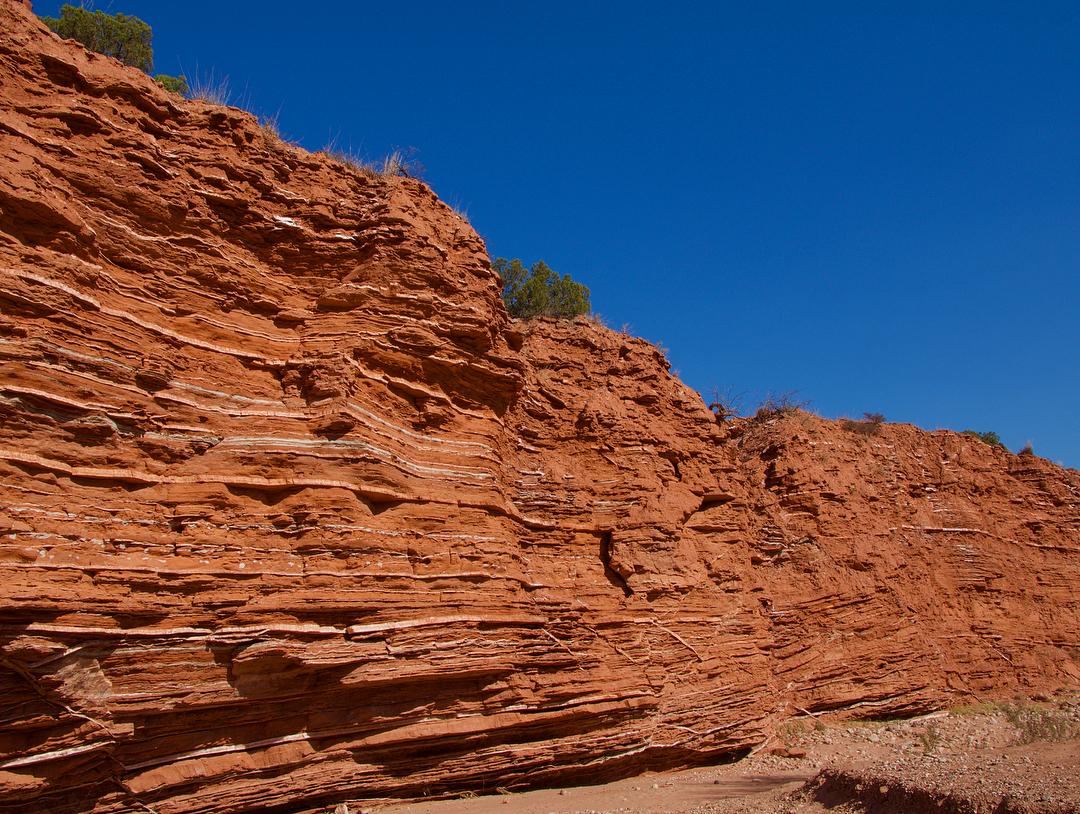 se permiten perros en el parque estatal caprock canyon