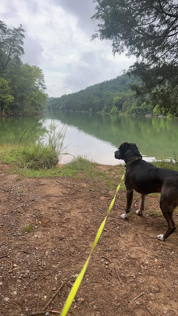 Pet Friendly Panther Creek State Park