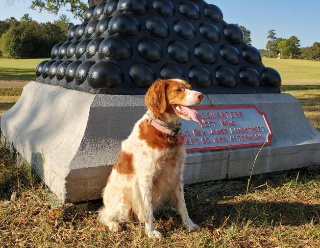 Pet Friendly Chickamauga and Chattanooga National Military Park