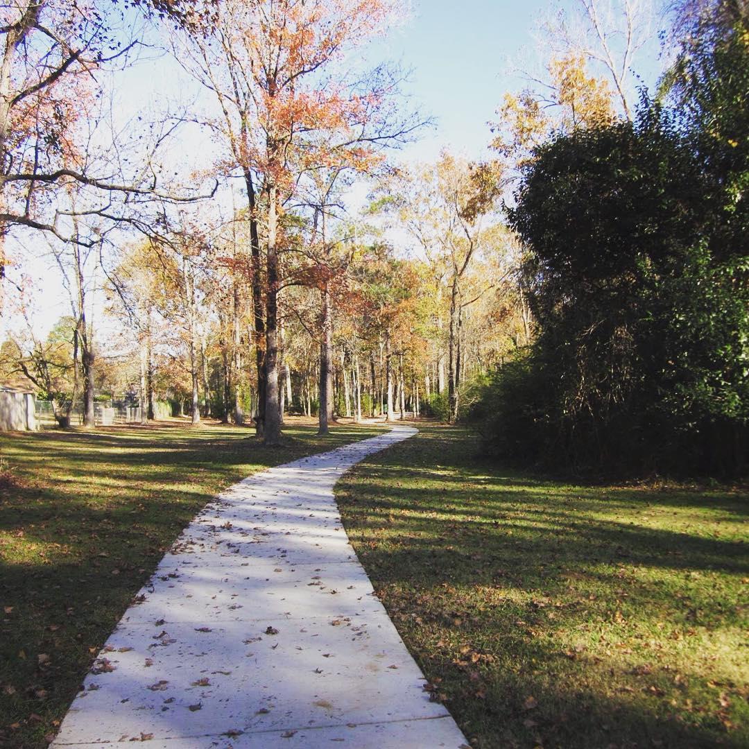 Dog Park at Greenwood Community Park