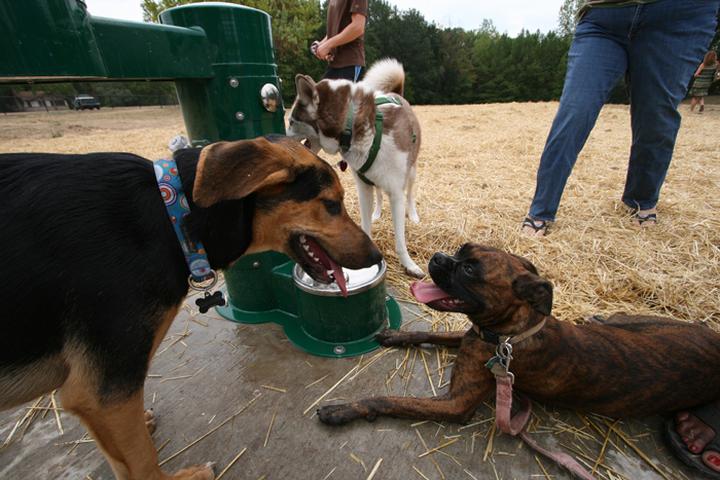 Off Leash Dog Parks In Liberty Mo Bringfido