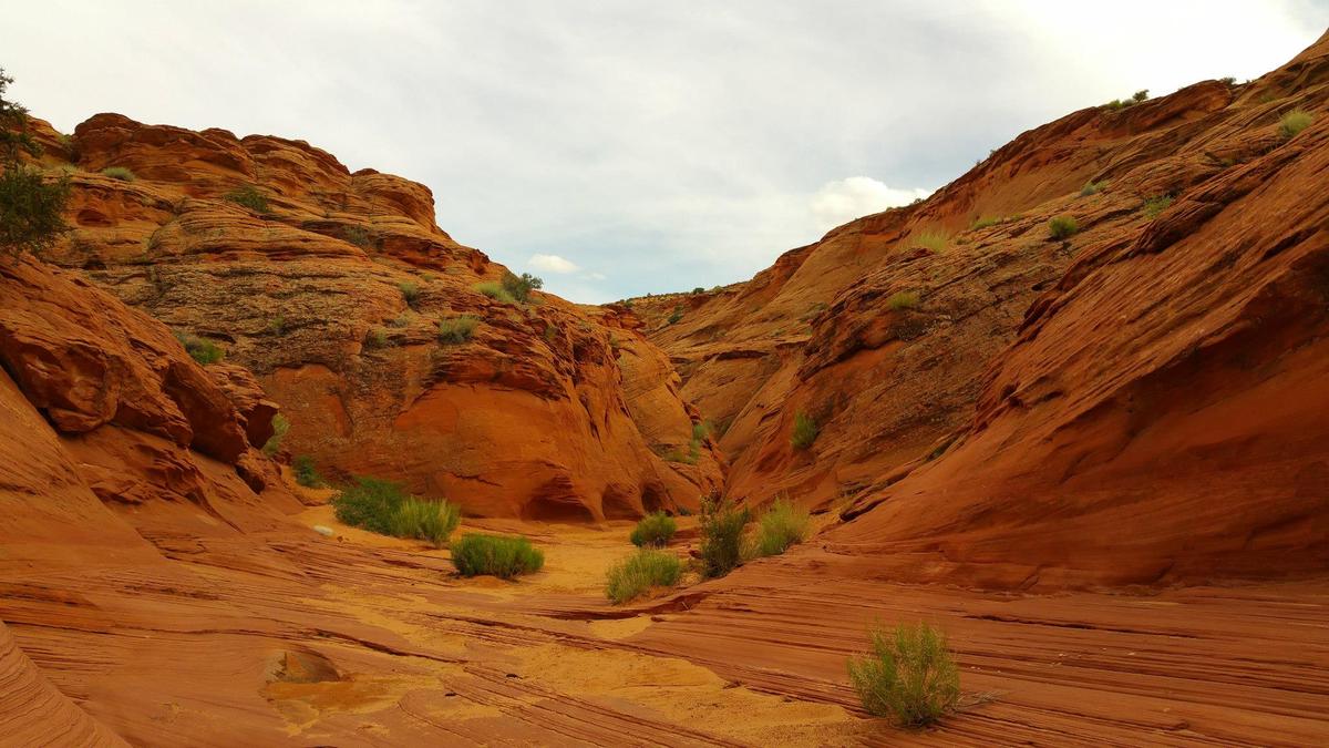 Dog Friendly Activities In Page Az Bringfido
