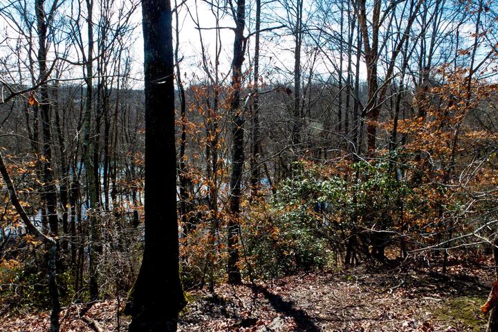 Pet Friendly Rocky River Nature Park