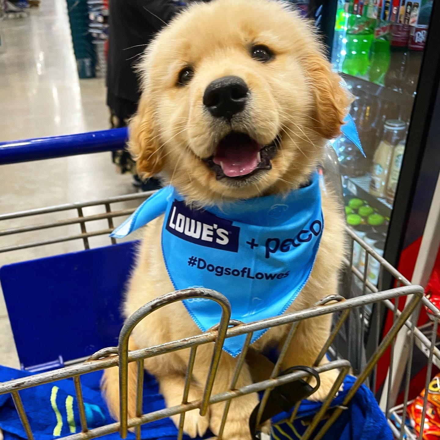 Pet Friendly Lowe's Home Improvement College Station