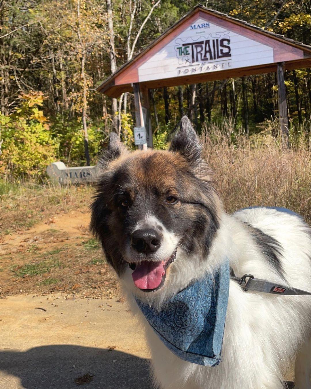 Pet Friendly The Trails at Fontanel