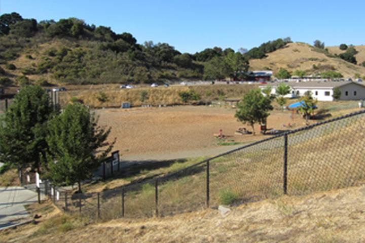 Pet Friendly Red Hill Dog Park