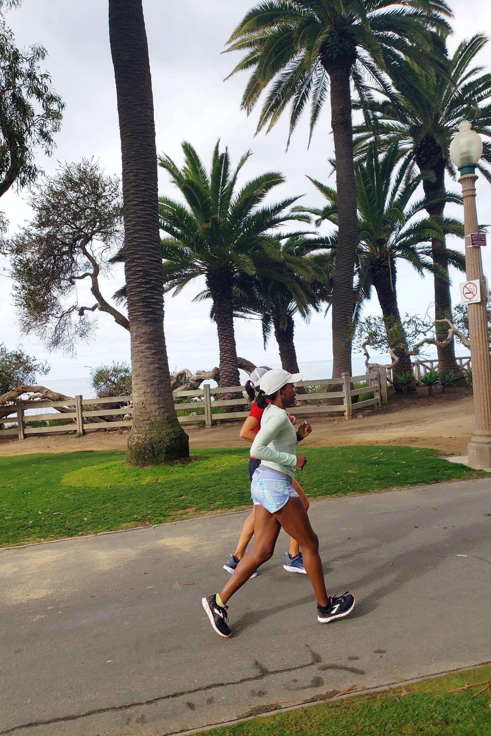 Pet Friendly Run and See Santa Monica Pier Landmarks
