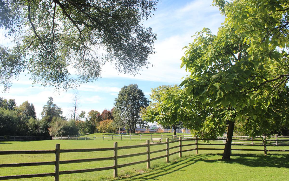 G Ross Lord Park Map