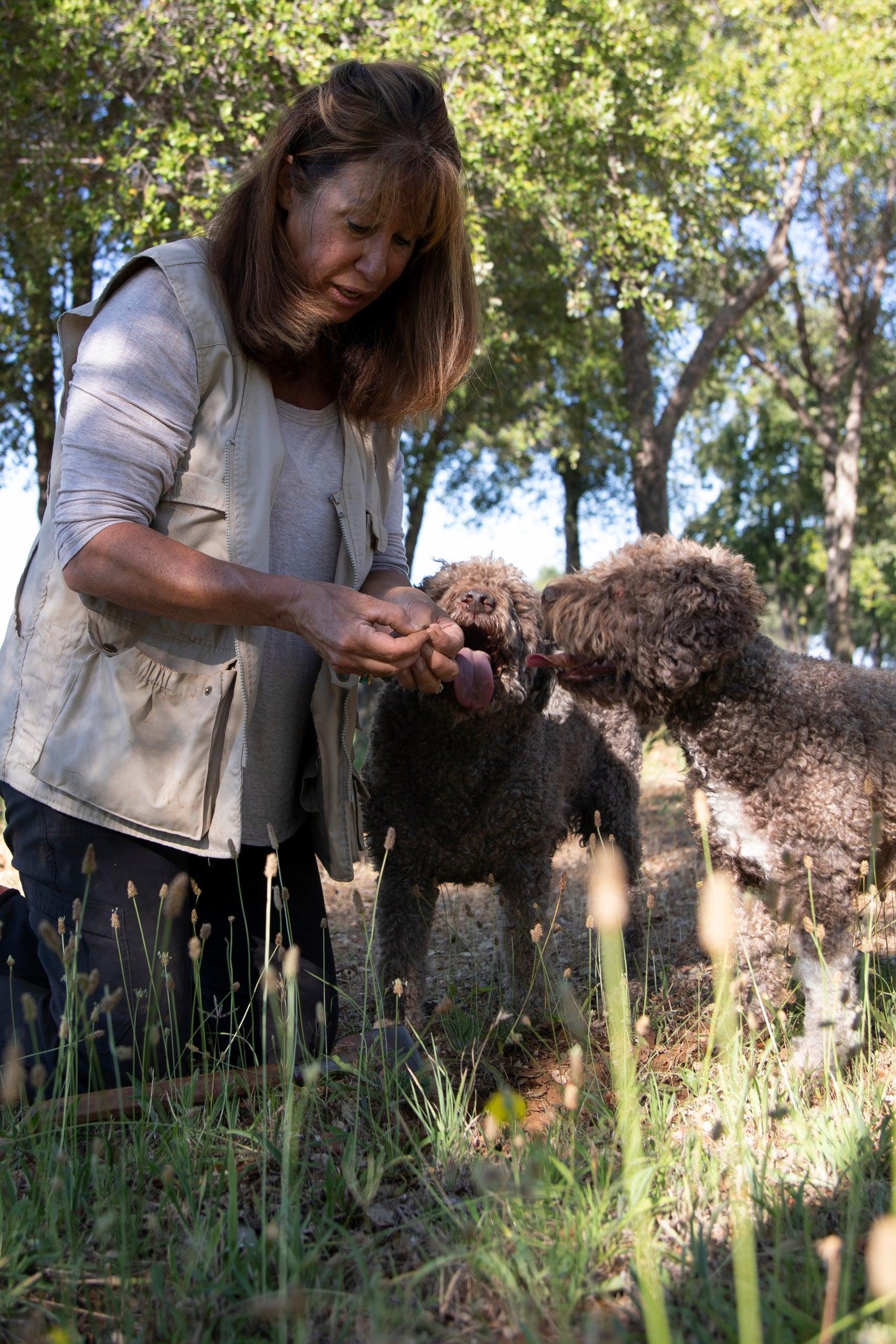 Pet Friendly Truffle Dog Training at a Truffle Ranch