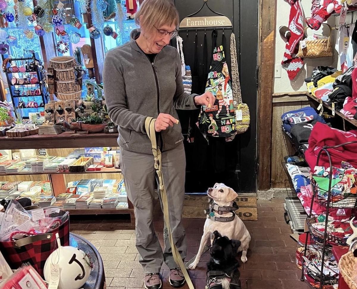 All about the dogs german village top