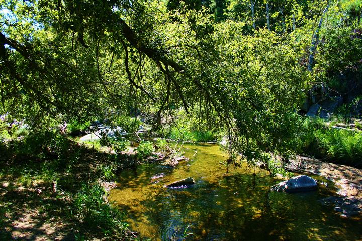 Pet Friendly San Juan Loop Trail