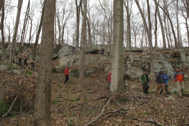 Dog Friendly Hiking Trails In Nyack Ny Bring Fido Dog Friendly Hiking Trails In Nyack Ny Bring Fido