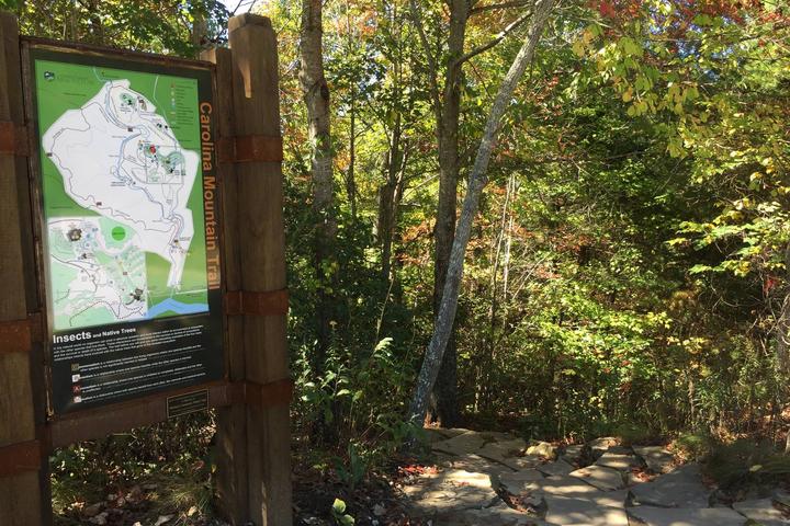 Pet Friendly Carolina Mountain Trail