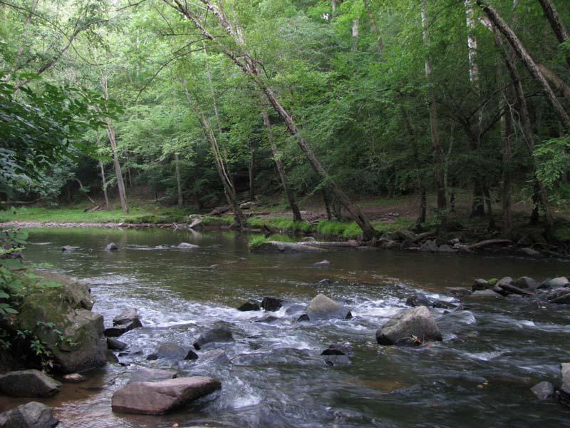 hikes near me that allow dogs