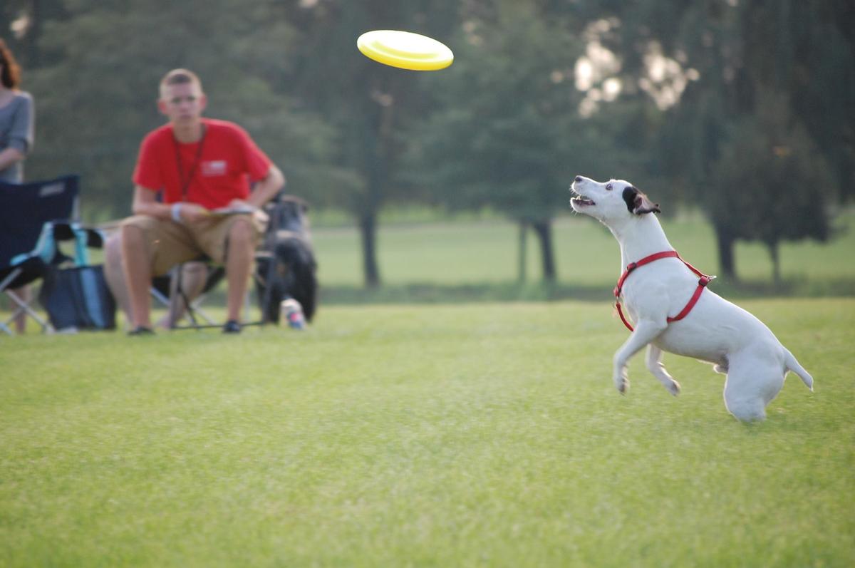 Off Leash Dog Parks in Hoffman Estates IL BringFido