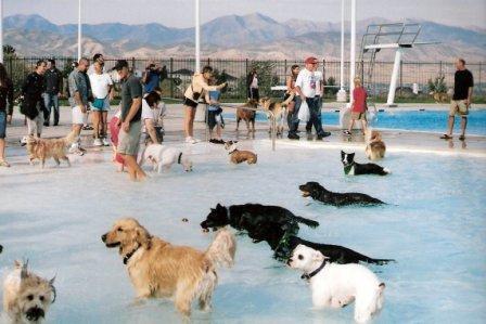 Dimple Dell Nature Park