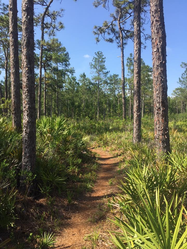 Jay B. Starkey Wilderness Park