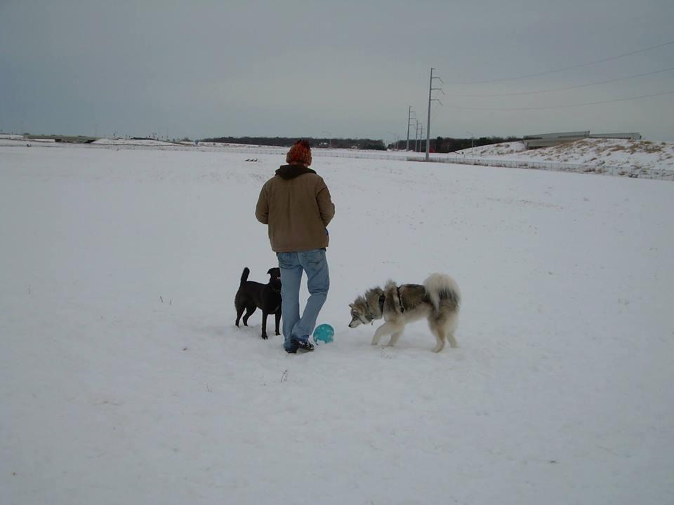 Chippewa Falls HappyTails Dog Park