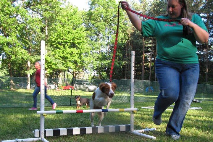 Pet Friendly Key-Lore Kennels Woof Woods Dog Park