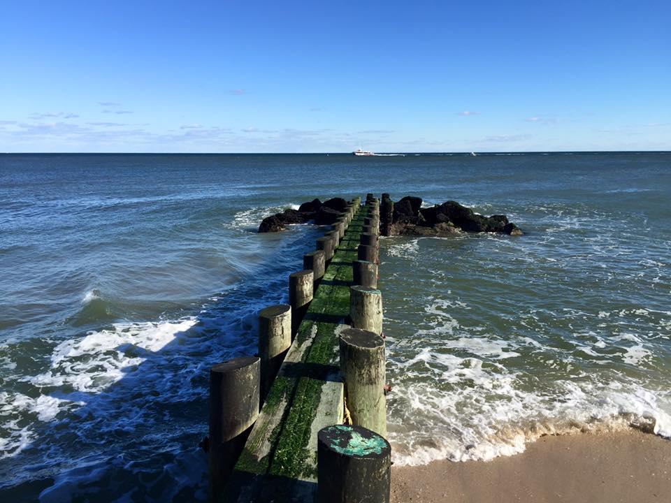 are dogs allowed on bay head beach in off season