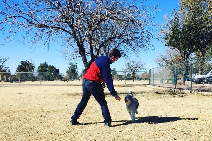 Pet Friendly PETsMART Dog Park at Washington Park