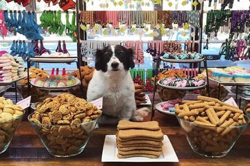 Woof Gang Bakery Grooming Palm Beach Gardens