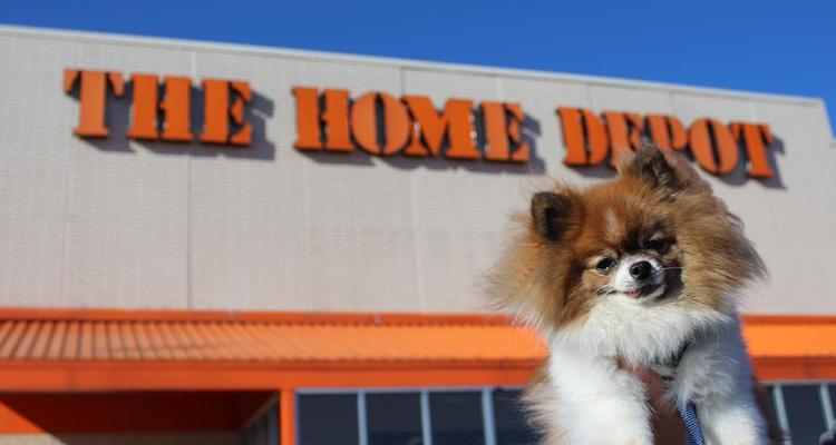 The Home Depot