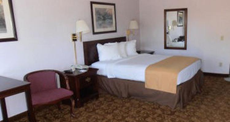 Quality Inn And Suites Minden Pet Policy