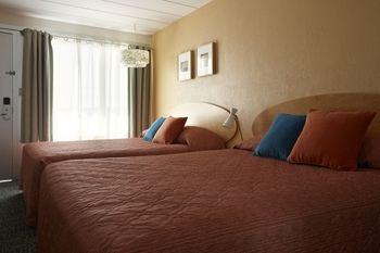 Starlux Hotel Pet Policy