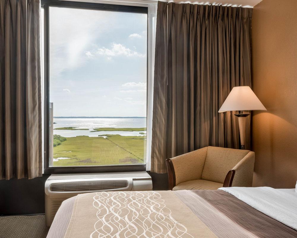 Comfort Inn Gold Coast Pet Policy
