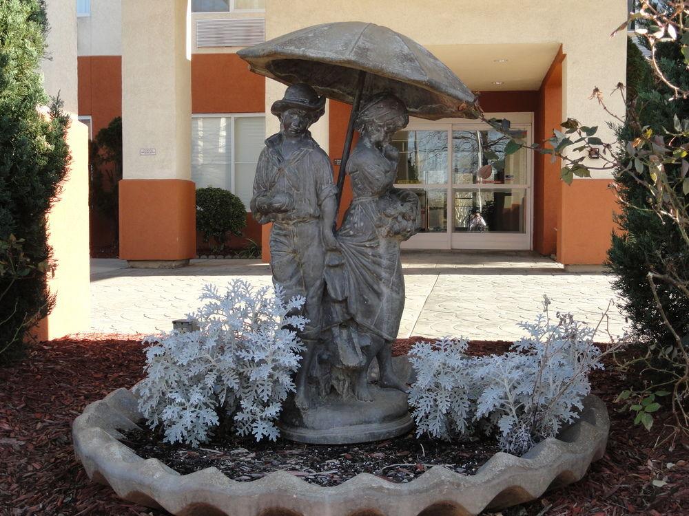 Comfort Suites Concord Pet Policy