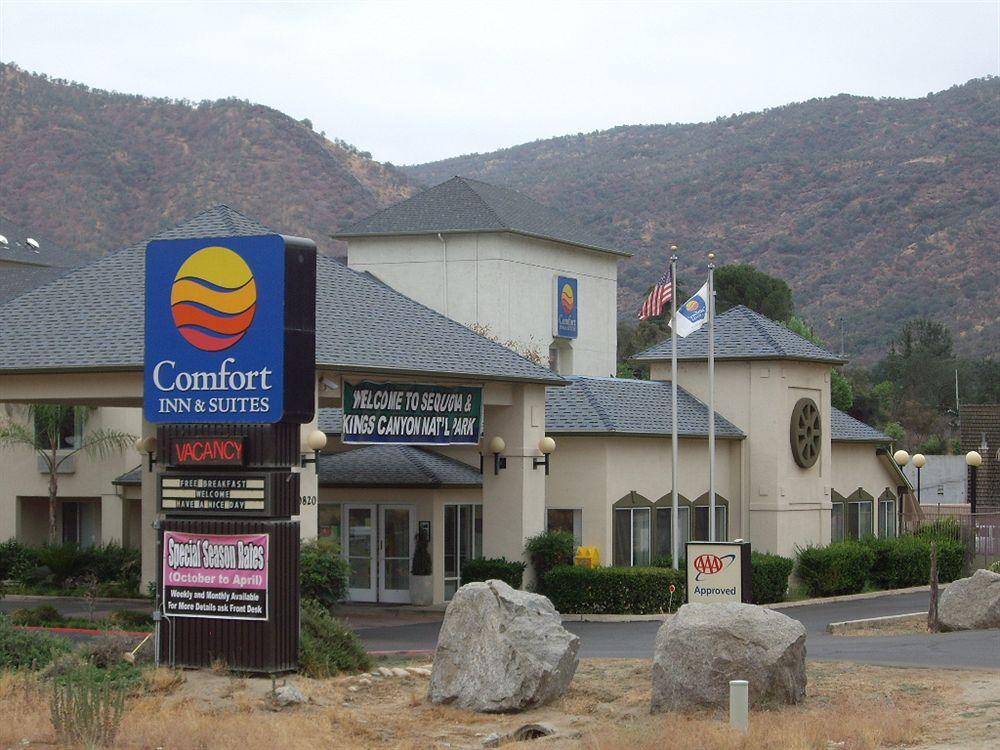 Comfort Inn Suites Sequoia Kings Canyon Pet Policy
