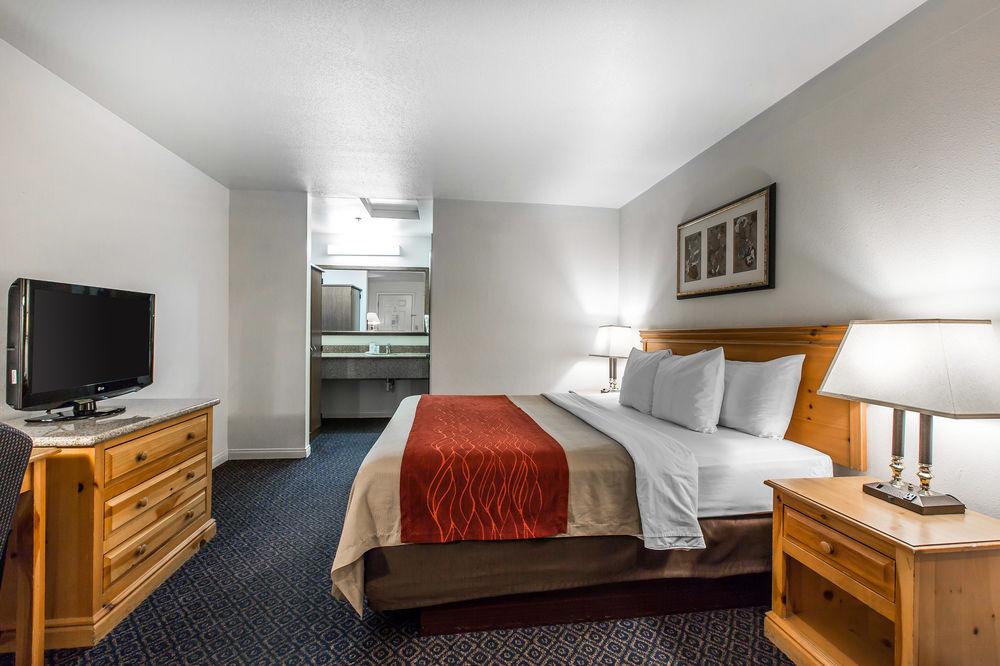 Comfort Inn Suites Sequoia Kings Canyon Pet Policy