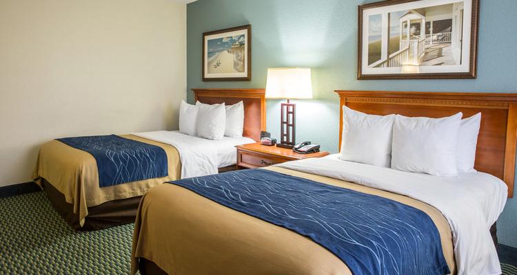 Comfort Inn On The Ocean Pet Policy