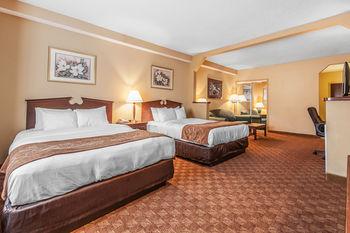 Comfort Suites Airport Alcoa Pet Policy