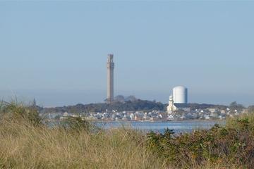 Pet Friendly Hotels In North Truro Ma Bringfido