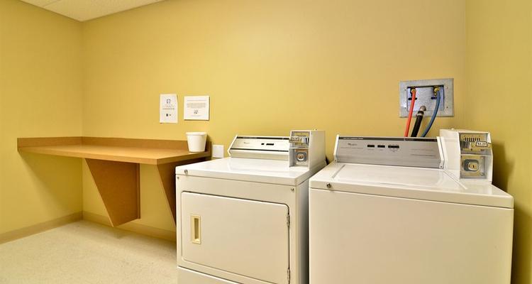 Comfort Inn Suites Dover Portsmouth Pet Policy