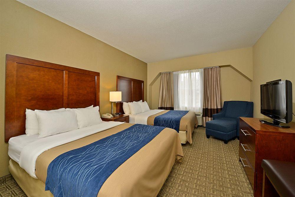 Comfort Inn Suites Dover Portsmouth Pet Policy