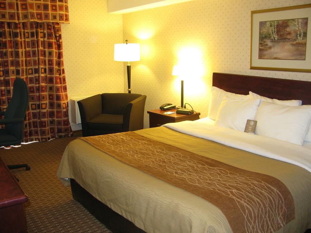 Comfort Inn Cornwall Pet Policy