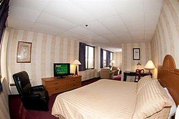 Pet Friendly Amsterdam Hotel