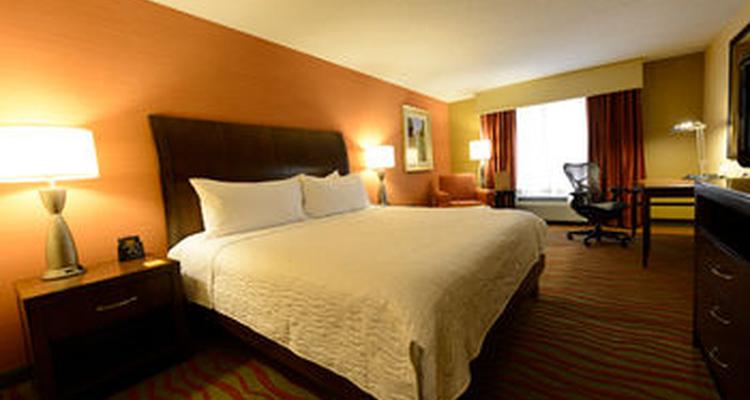 Hilton Garden Inn Arlington Courthouse Plaza Pet Policy