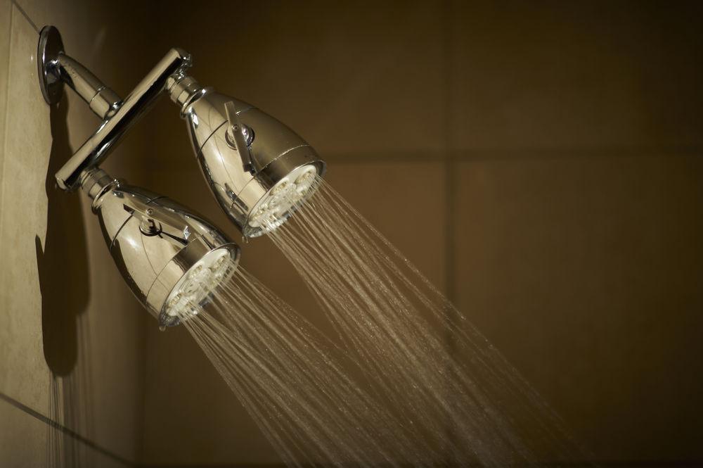 Kinzie Hotel Pet Policy