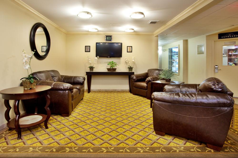 Pet Friendly Hotels in Galveston, TX BringFido