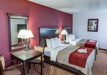 Comfort Inn Suites Greeley Pet Policy