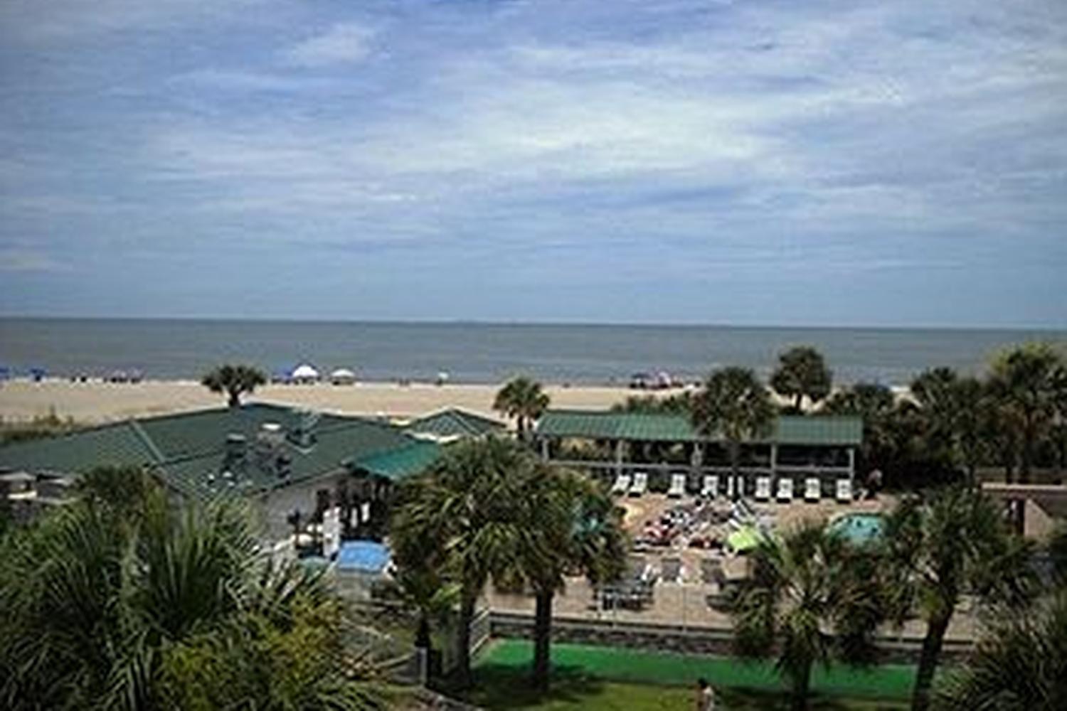 Tybee Beach Club Pet Policy