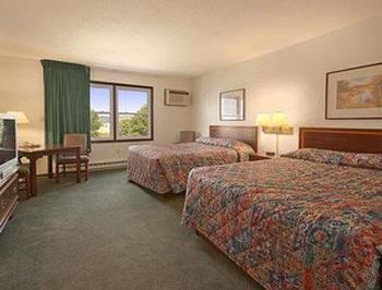 best cat carrier for airplane