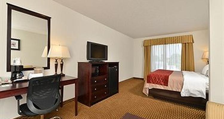 Comfort Inn Suites Cambridge Pet Policy