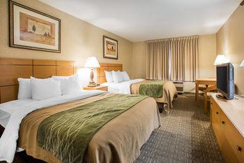 Comfort Inn Green Bay Pet Policy