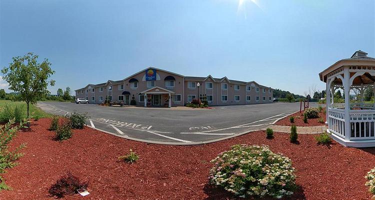 Comfort Inn Saugerties Pet Policy