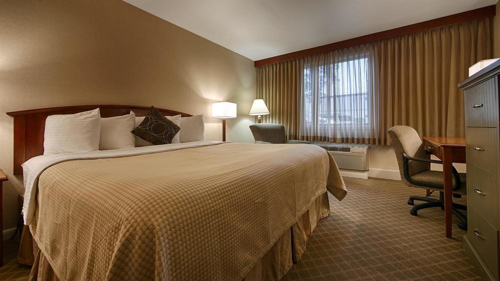 Pet Friendly Hotels In Fort Collins Co Bringfido